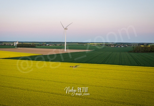 Traitement fongicide sur colza en pleine floraison après le coucher du soleil