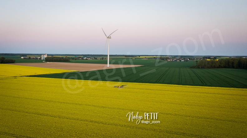 Traitement fongicide sur colza en pleine floraison après le coucher du soleil - #2204250055 - crédit Nadège PETIT @agri_zoom.jpg #2204250055 - crédit Nadège PETIT @agri_zoom.jpg