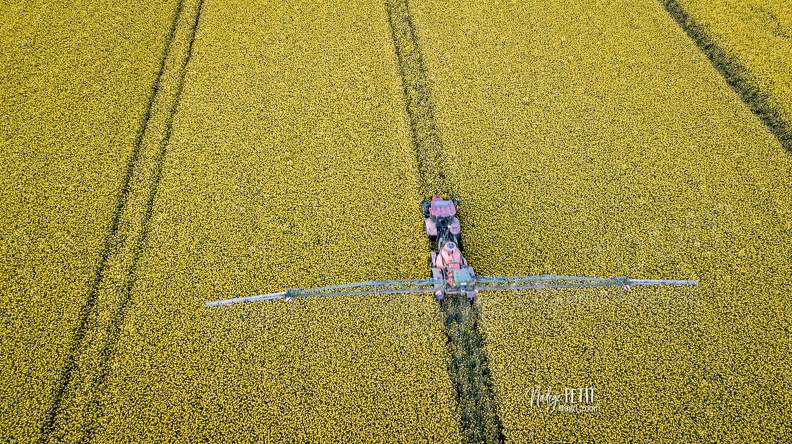 #2204250060 - crédit Nadège PETIT @agri_zoom.jpg