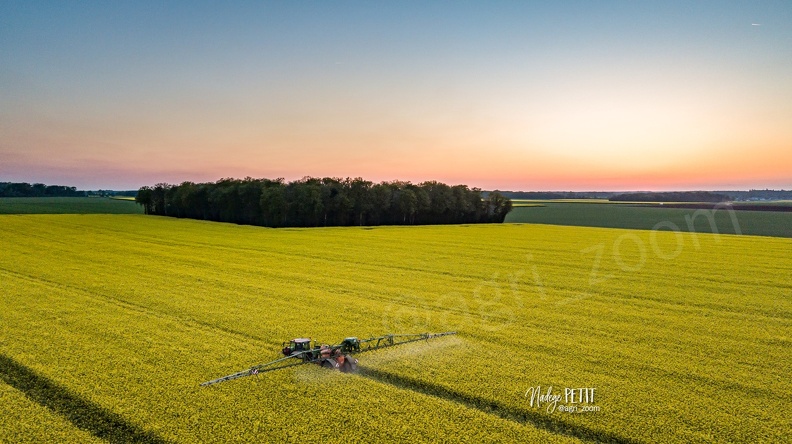 Traitement fongicide sur colza en pleine floraison après le coucher du soleil - #2204250070 - crédit Nadège PETIT @agri_zoom.jpg #2204250070 - crédit Nadège PETIT @agri_zoom.jpg
