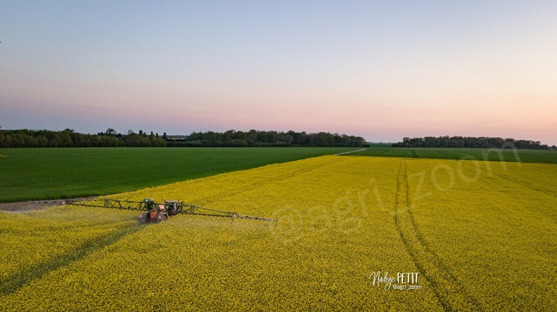 Traitement fongicide sur colza en pleine floraison après le coucher du soleil - #2204250078 - crédit Nadège PETIT @agri_zoom.jpg #2204250078 - crédit Nadège PETIT @agri_zoom.jpg