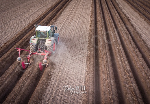 #2204250050 - crédit Nadège PETIT @agri zoom