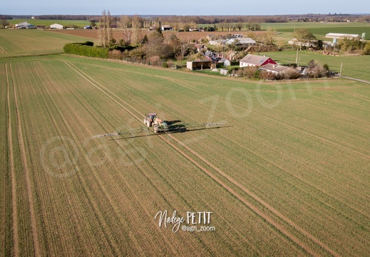 #2202190023 - crédit Nadège PETIT @agri zoom