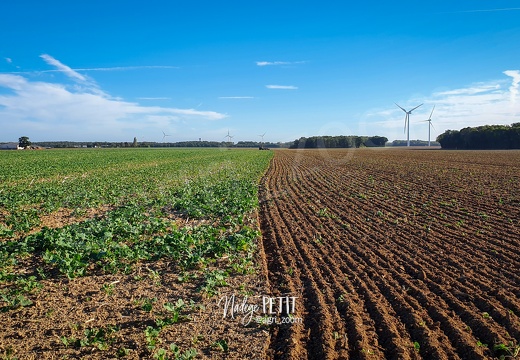 20221011 100837 - crédit Nadège PETIT @agri zoom