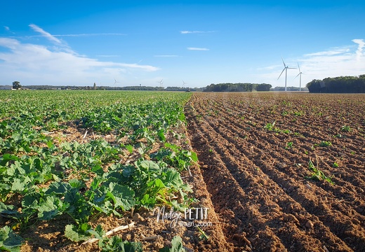 20221011 100847 - crédit Nadège PETIT @agri zoom