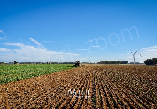 20221011 101003 - crédit Nadège PETIT @agri zoom