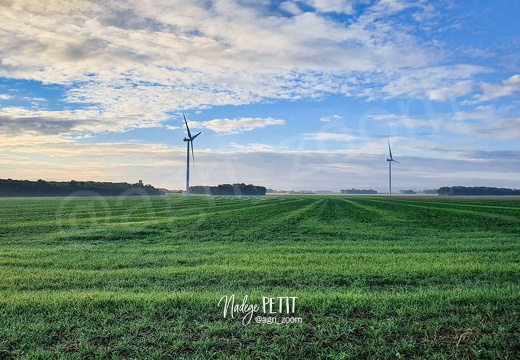 20220929 085134 - crédit Nadège PETIT @agri zoom