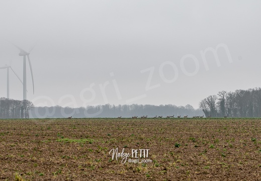 #2201164363 - crédit Nadège PETIT @agri zoom