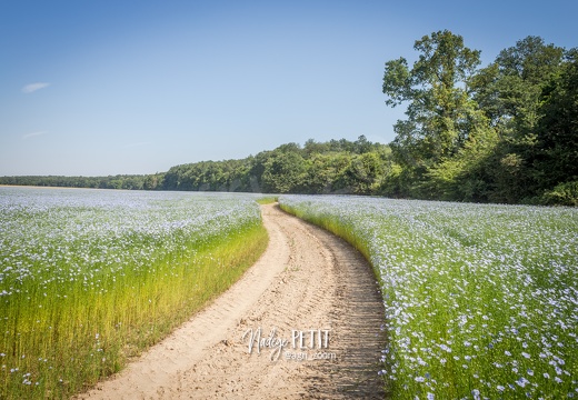 #1806298308 - crédit Nadège PETIT @agri zoom