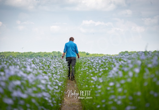 #1905219944 - crédit Nadège PETIT @agri zoom