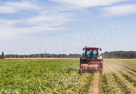 #1707211490 - crédit Nadège PETIT @agri zoom