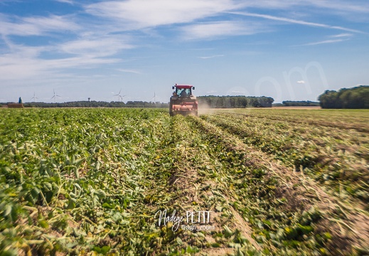 #1707211492 - crédit Nadège PETIT @agri zoom