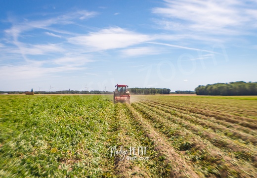 #1707211491 - crédit Nadège PETIT @agri zoom