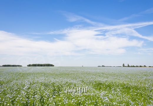 #1806298196 - crédit Nadège PETIT @agri zoom