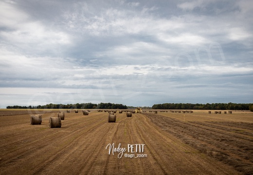 #1909099677 - crédit Nadège PETIT @agri zoom