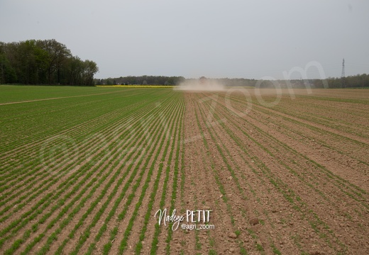 #1904239139 - crédit Nadège PETIT @agri zoom