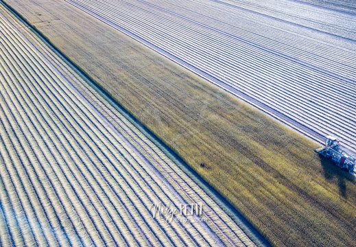 #2206100487 - crédit Nadège PETIT @agri zoom