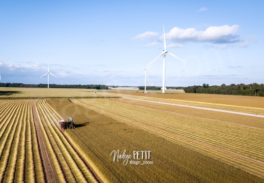 #2206100502 - crédit Nadège PETIT @agri zoom