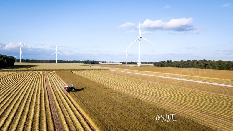 #2206100502 - crédit Nadège PETIT @agri zoom - #2206100502 - crédit Nadège PETIT @agri_zoom.jpg #2206100502 - crédit Nadège PETIT @agri_zoom.jpg