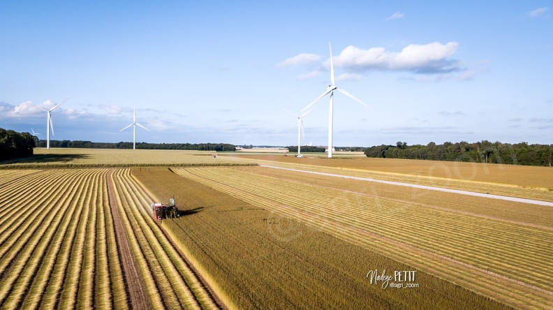 #2206100502 - crédit Nadège PETIT @agri_zoom.jpg