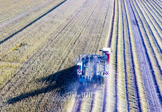 #2206100503 - crédit Nadège PETIT @agri zoom