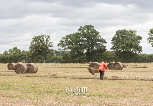 #1707281534 - crédit Nadège PETIT @agri zoom