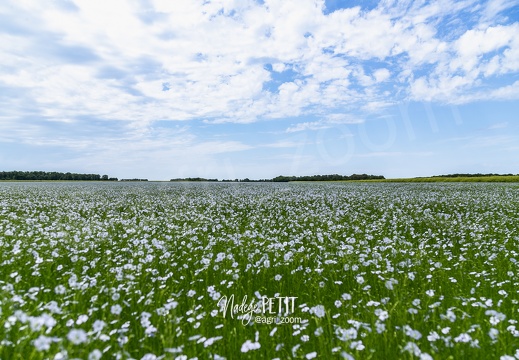 #2206046782 - crédit Nadège PETIT @agri zoom