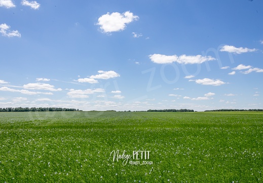 #2206016412 - crédit Nadège PETIT @agri zoom