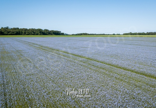 #2205170385 - crédit Nadège PETIT @agri zoom