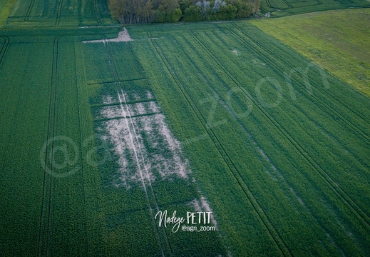 #2305020177 - crédit Nadège PETIT @agri zoom