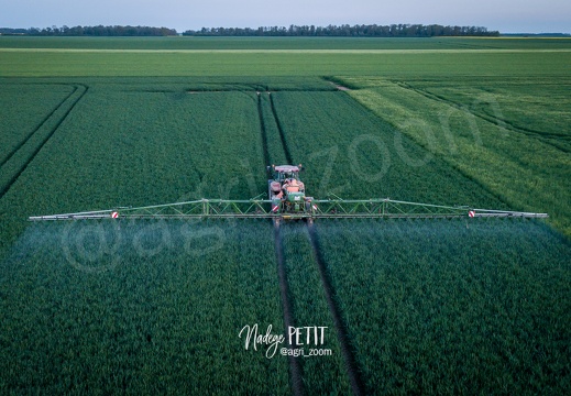 #2305020220 - crédit Nadège PETIT @agri zoom