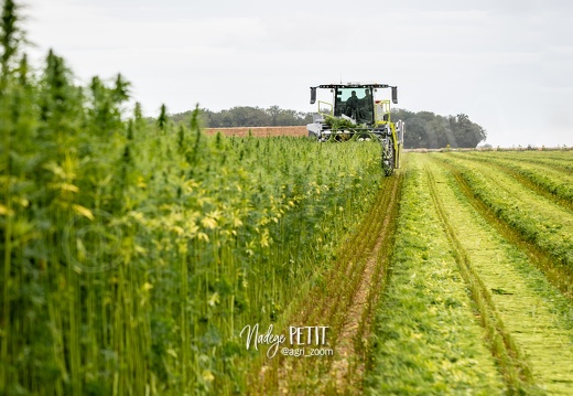 #2308113354 - crédit Nadège PETIT @agri zoom