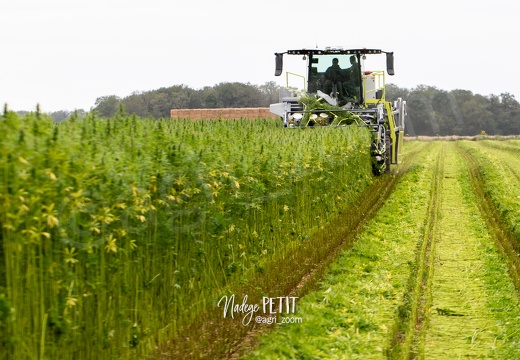 #2308113355 - crédit Nadège PETIT @agri zoom