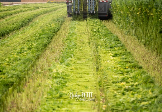 #2308113358 - crédit Nadège PETIT @agri zoom