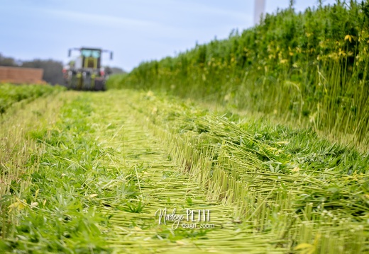 #2308113364 - crédit Nadège PETIT @agri zoom