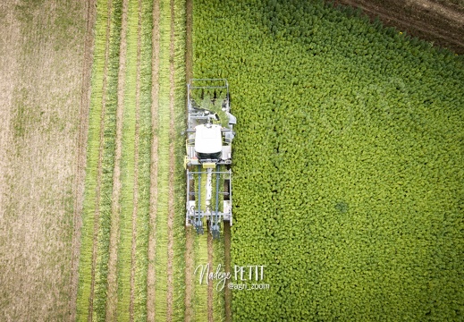 #2308110149 - crédit Nadège PETIT @agri zoom