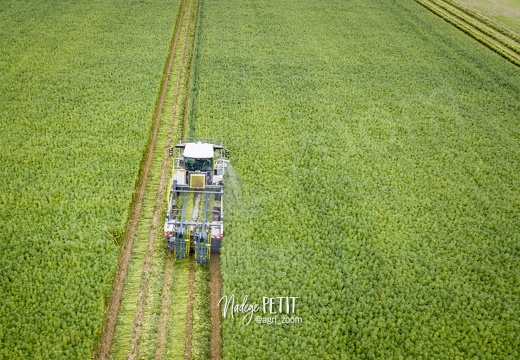 #2308110155 - crédit Nadège PETIT @agri zoom