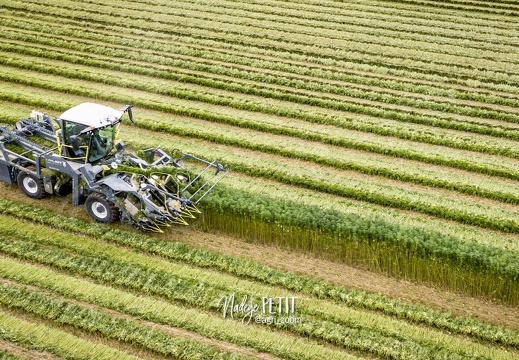 #2308110181 - crédit Nadège PETIT @agri zoom