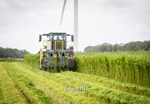 #2308113346 - crédit Nadège PETIT @agri zoom