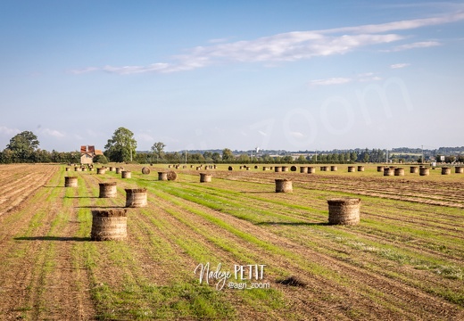 #2308173593 - crédit Nadège PETIT @agri zoom