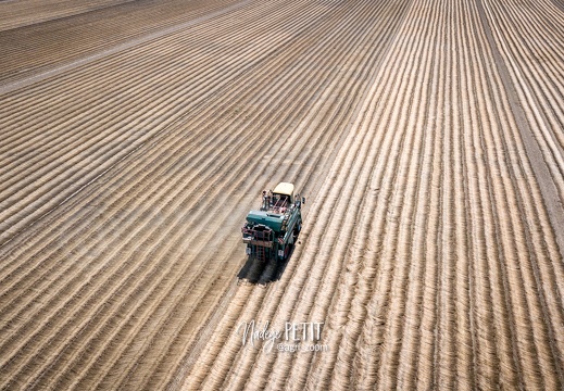 #2307110016 - crédit Nadège PETIT @agri zoom