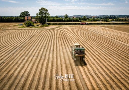 #2307110029 - crédit Nadège PETIT @agri zoom