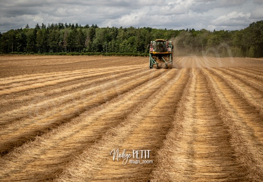 #2307112290 - crédit Nadège PETIT @agri zoom