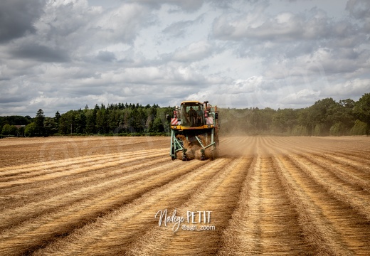 #2307112292 - crédit Nadège PETIT @agri zoom