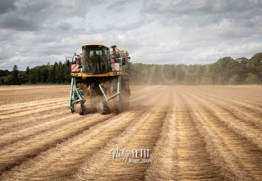 #2307112297 - crédit Nadège PETIT @agri zoom