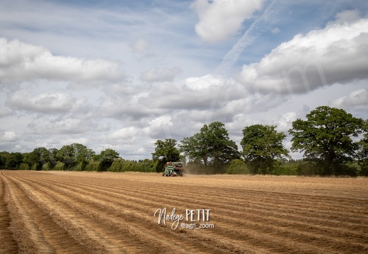 #2307112300 - crédit Nadège PETIT @agri zoom