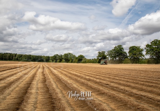 #2307112301 - crédit Nadège PETIT @agri zoom