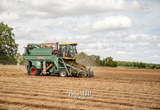 #2307112320 - crédit Nadège PETIT @agri zoom