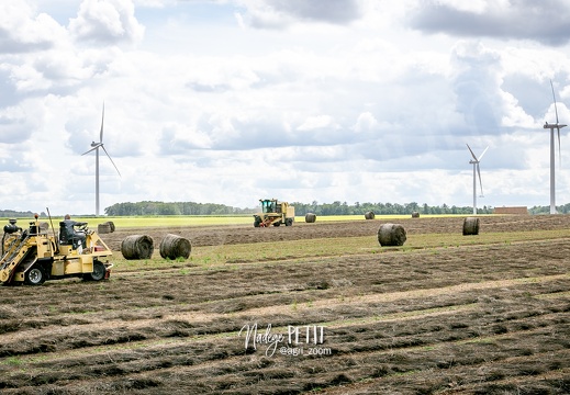 #2308071723 - crédit Nadège PETIT @agri zoom