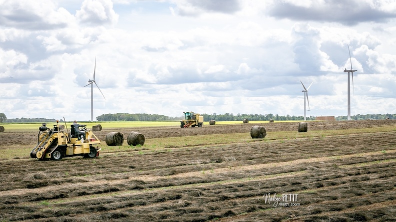 #2308071723 - crédit Nadège PETIT @agri zoom - #2308071723 - crédit Nadège PETIT @agri_zoom.jpg #2308071723 - crédit Nadège PETIT @agri_zoom.jpg